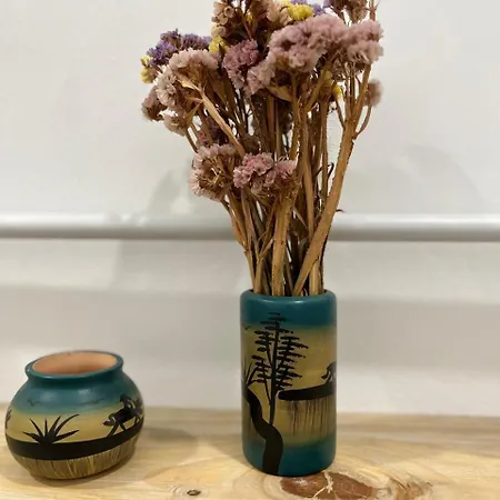 Center House Διαμέρισμα Τίρανα